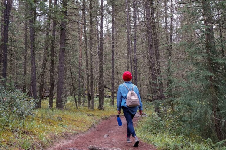 Imagen de Ecoturismo y viajes sostenibles: cómo ser un viajero responsable