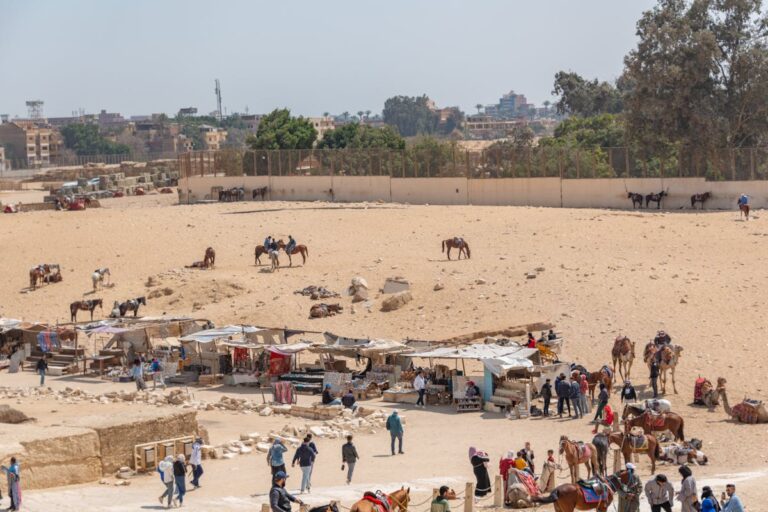 Imagen de Egipto para principiantes: Pirámides, Nilo y Mar Rojo en una sola ruta