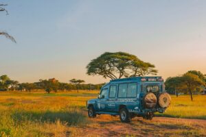 Imagen de Safari en Kenia y Tanzania: Guía completa para ver los Cinco Grandes