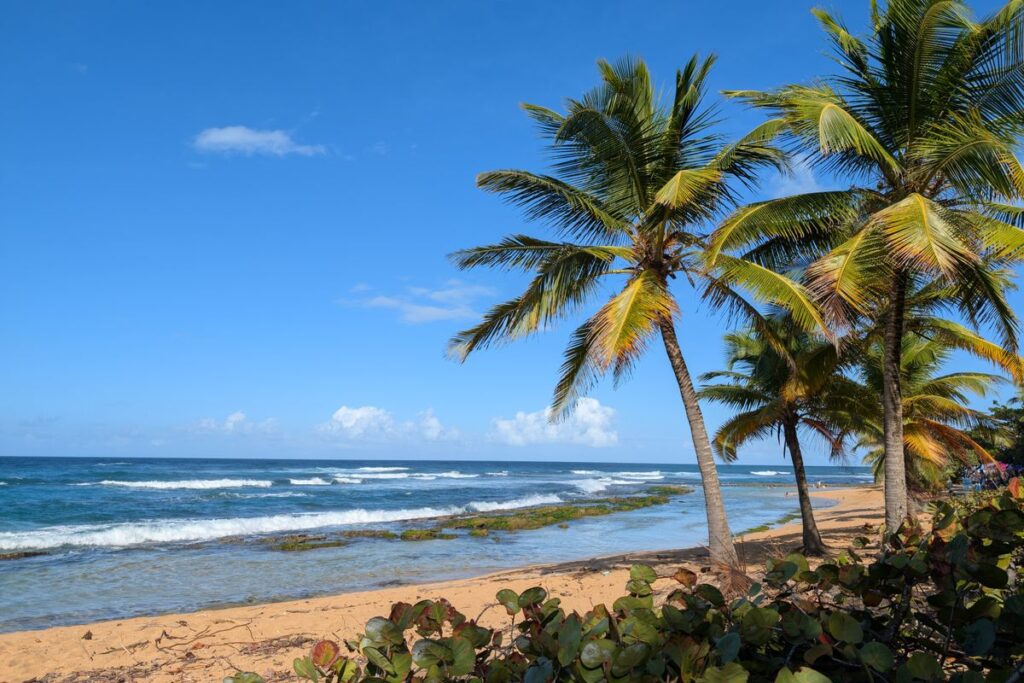 Imagen de Guía definitiva para visitar Puerto Rico: qué hacer y dónde ir