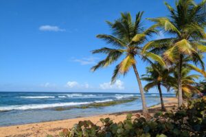 Imagen de Guía definitiva para visitar Puerto Rico: qué hacer y dónde ir