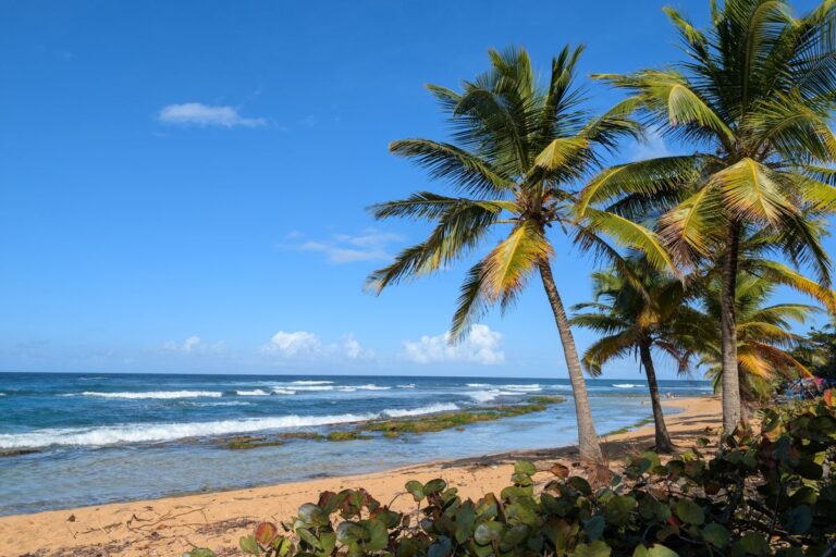 Imagen de Guía definitiva para visitar Puerto Rico: qué hacer y dónde ir