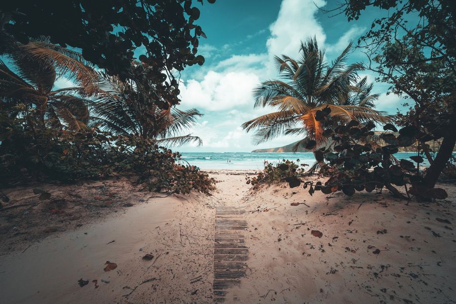 Imagen de Guía definitiva para visitar Puerto Rico: qué hacer y dónde ir
